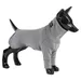 PAIKKA Hunde Shirt leicht & wärmend "Recovery shirt"