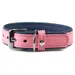 Das Lederband Hundehalsband Firenze candy/saphire