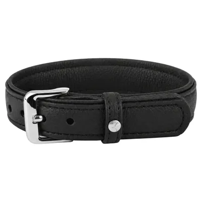 Das Lederband Hundehalsband Denver V2 Black Das Lederband Hundehalsband Denver V2 Black