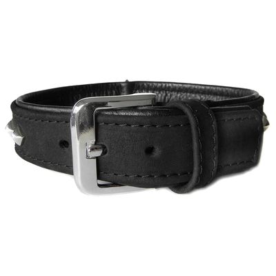 Das Lederband Hundehalsband Roma schwarz/schwarz