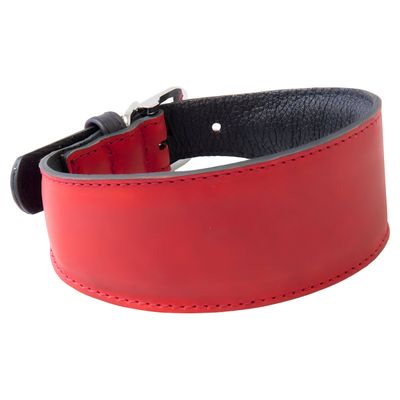 Das Lederband Windhundhalsband Vancouver Red/Black