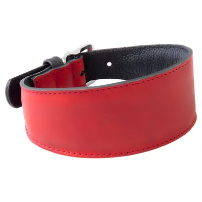 Das Lederband Windhundhalsband Vancouver Red/Black Das Lederband Windhundhalsband Vancouver Red/Black