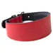 Das Lederband Windhundhalsband Vancouver Red/Black