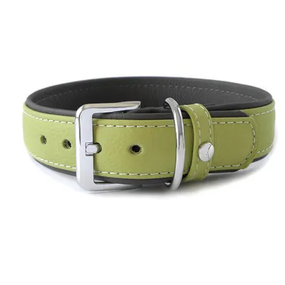 Das Lederband Hundehalsband Amsterdam lime/lava Das Lederband Hundehalsband Amsterdam lime/lava