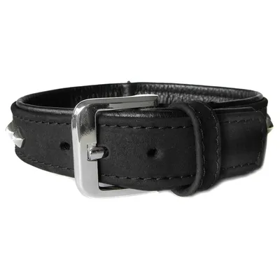 Das Lederband Hundehalsband Roma schwarz/schwarz Das Lederband Hundehalsband Roma schwarz/schwarz