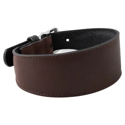 Das Lederband Windhundhalsband Vancouver Mocca/Black Das Lederband Windhundhalsband Vancouver Mocca/Black