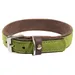 Das Lederband Hundehalsband Norden Lime/Mocca