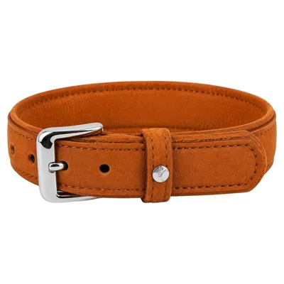 Das Lederband Hundehalsband Denver V2 Cognac Das Lederband Hundehalsband Denver V2 Cognac