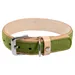 Das Lederband Hundehalsband Norden Lime/Natural