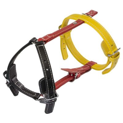 Das Lederband Geschirr Frankfurt Black/Indian-Red/Vibrant-Yellow