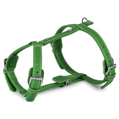 Das Lederband Geschirr Barcelona Summer-Green