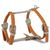 Halsumfang: 25-45 cm
