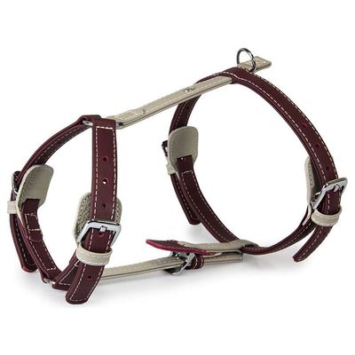Das Lederband Geschirr Amsterdam Merlot/Grey