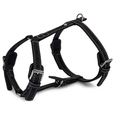 Das Lederband Geschirr Barcelona Black Das Lederband Geschirr Barcelona Black