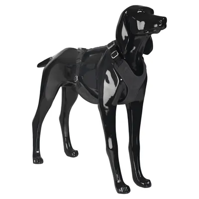 PAIKKA Hundegeschirr reflektierend "Visibility Harness" dark PAIKKA Hundegeschirr reflektierend "Visibility Harness" dark