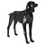 PAIKKA Hundegeschirr reflektierend "Visibility Harness" dark PAIKKA Hundegeschirr reflektierend "Visibility Harness" dark