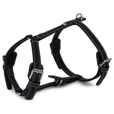 Das Lederband Geschirr Barcelona Black