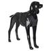 PAIKKA Hundegeschirr reflektierend "Visibility Harness" dark