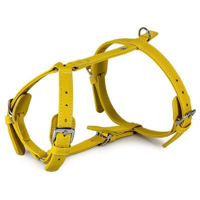 Das Lederband Geschirr Barcelona Vibrant-Yellow