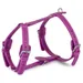 Das Lederband Geschirr Barcelona Rose-Violet