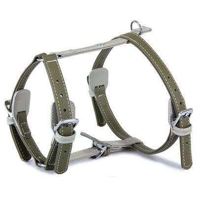 Das Lederband Geschirr Amsterdam Capers/Grey