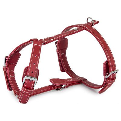 Das Lederband Geschirr Barcelona Indian-Red