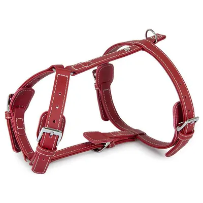 Das Lederband Geschirr Barcelona Indian-Red Das Lederband Geschirr Barcelona Indian-Red