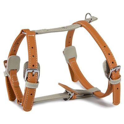 Das Lederband Geschirr Amsterdam Orange/Grey