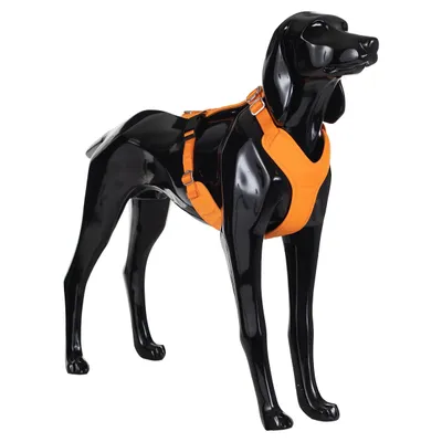 PAIKKA Hundegeschirr reflektierend "Visibility Harness" orange PAIKKA Hundegeschirr reflektierend "Visibility Harness" orange