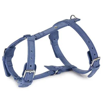 Das Lederband Geschirr Toronto Jeans Das Lederband Geschirr Toronto Jeans