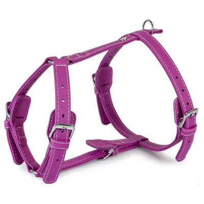 Das Lederband Geschirr Barcelona Rose-Violet Das Lederband Geschirr Barcelona Rose-Violet