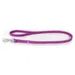 Das Lederband Hundeleine Boston Violet