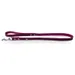 Das Lederband Hundeleine Weinheim Violet