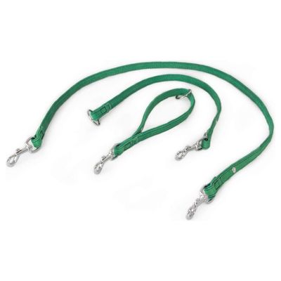Das Lederband Universal Hundeleine Toronto Leaf Green