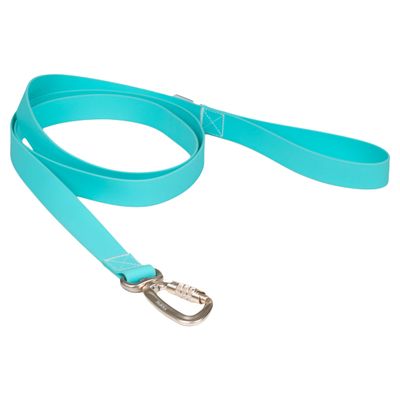 PAIKKA Hundeleine "Glow Leash" aqua