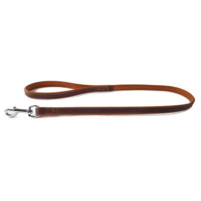 Das Lederband Hundeleine Roma mocca/cognac