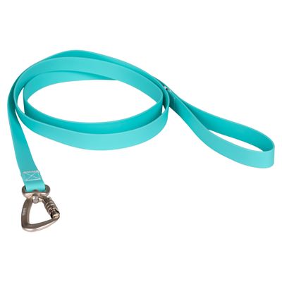 PAIKKA Hundeleine "Glow Leash" aqua
