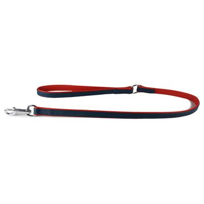 Das Lederband Hundeleine Firenze opal/flame