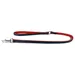 Das Lederband Hundeleine Firenze opal/flame
