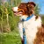 Das Lederband Hunde Führleine Firenze azure/oxford blue Das Lederband Hunde Führleine Firenze azure/oxford blue