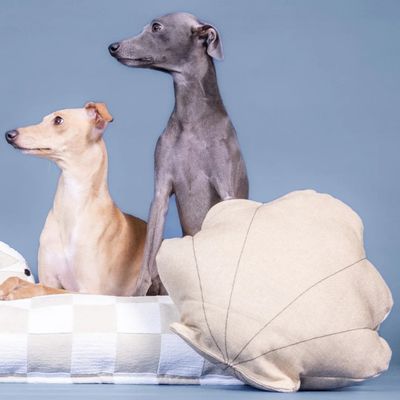 PAIKKA Hundespielzeug Schatzmuschel