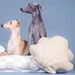 PAIKKA Hundespielzeug Schatzmuschel