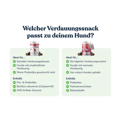 felmo Verdauungs-Snacks Pro für Hunde felmo Verdauungs-Snacks Pro für Hunde