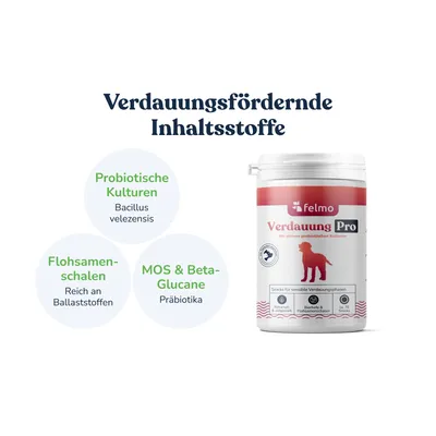 felmo Verdauungs-Snacks Pro für Hunde