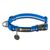 Blue Pool 11"-14"