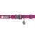 RUFFWEAR Hi & Light™ Leicht Hundehalsband RUFFWEAR Hi & Light™ Leicht Hundehalsband