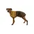 RUFFWEAR Sun Shower™ Regenmantel Für Hunde