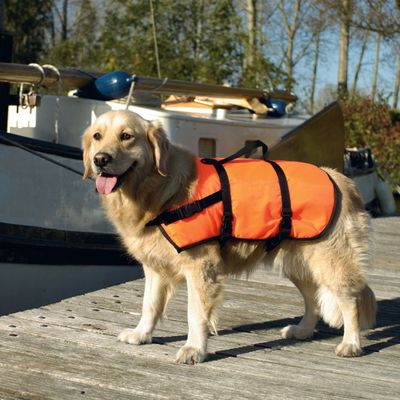 Beeztees Schwimmweste orange