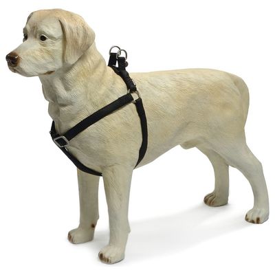 Beeztees Hundegeschirr Mac Leder schwarz