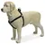 Beeztees Hundegeschirr Mac Leder schwarz Beeztees Hundegeschirr Mac Leder schwarz